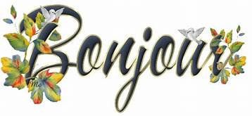 LACANEAU OCEAN 33680