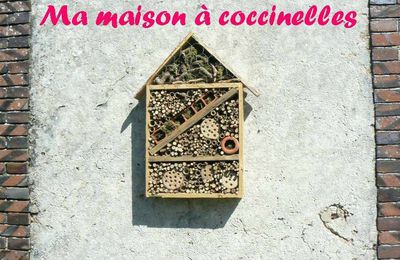 La maison des coccinelles