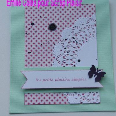 Démonstrations SCRAP PLAISIR Janvier-février 2014