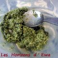 Pesto aux 5 plantes