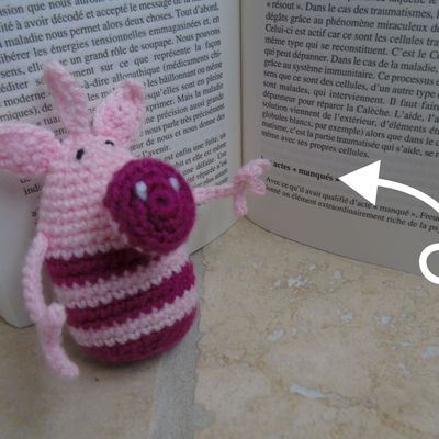 L'aristochatte au crochet