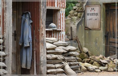 Guerre 1914-1918... Les Causes !