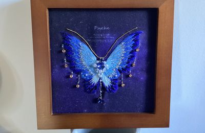 Papillon 🦋 