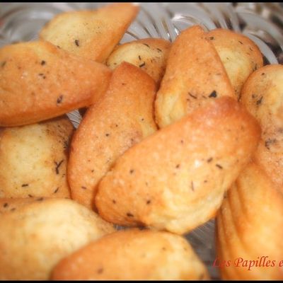 Madeleines fleur de vanille