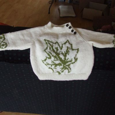 Deux pulls réalisés l'an dernier