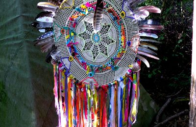 Peuples racines et peuples plumes