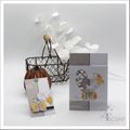 4enscrap - Nouvelle collection Automne 2022 - Jour 2