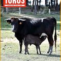 TOROS sort le 28 février