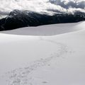 Randonnée raquettes à neige dimanche 17 Février dans le Vercors