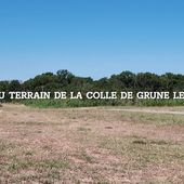 Les rois de la tonte.mp4