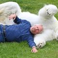 Marc et son ami l'ours polaire