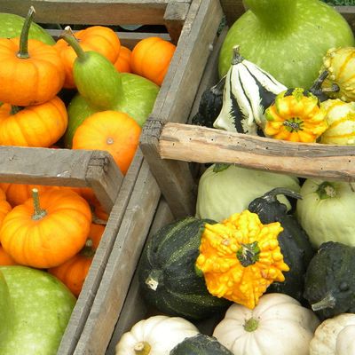 De retour de plongée...