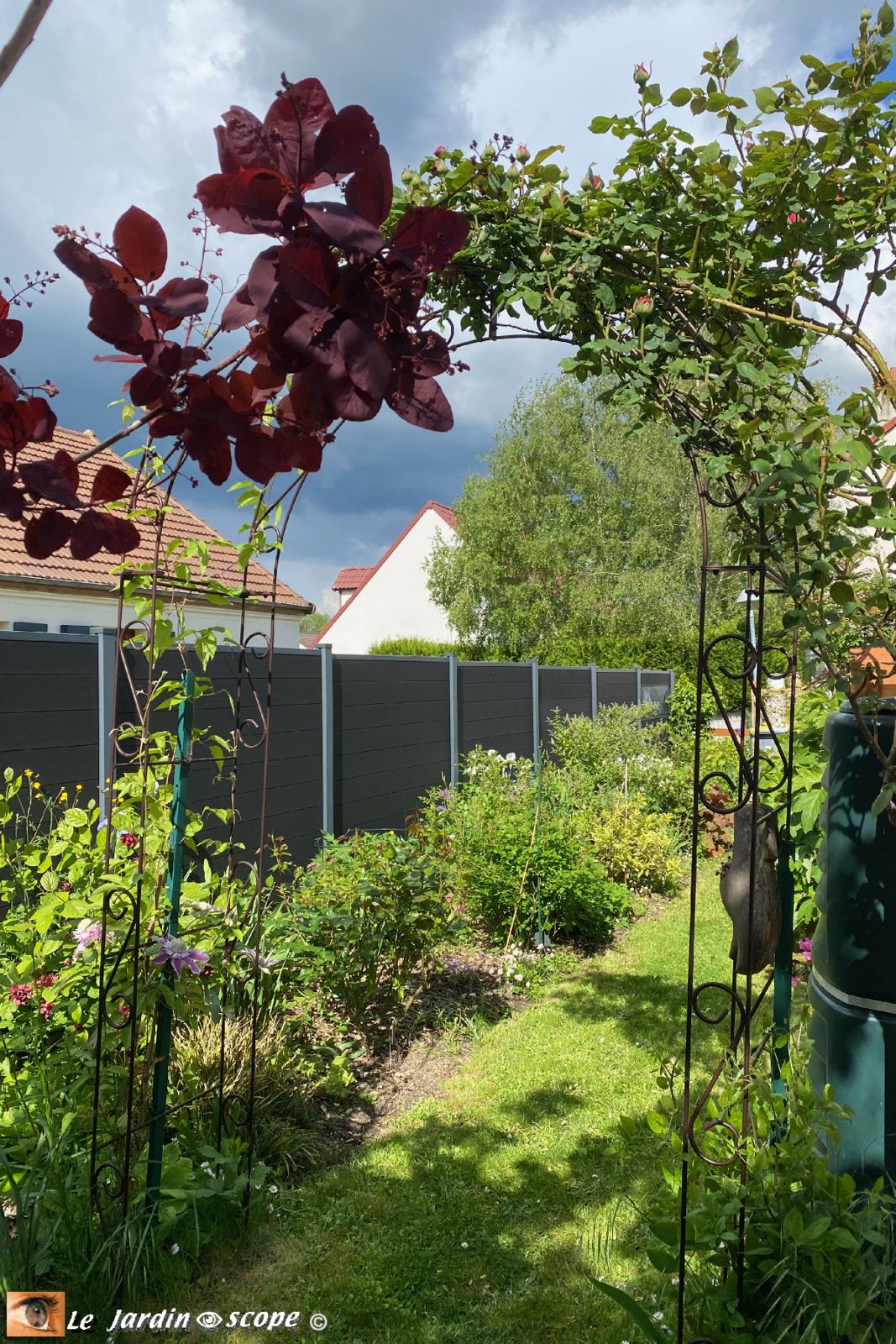 Mixed-border 'Nelly' et Rosa Mme Isaac Péreire 