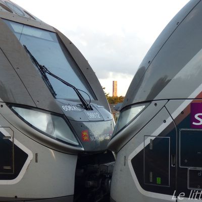 Les OMNEO PREMIUM Regio 2N de la Normandie