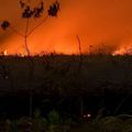 Incendies en Indonésie