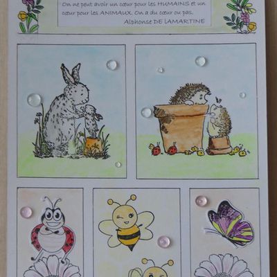 Des animaux