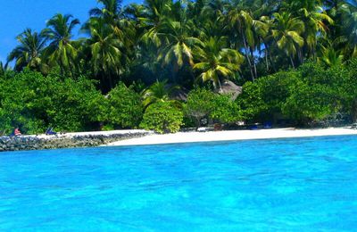 île de makunudu - maldives