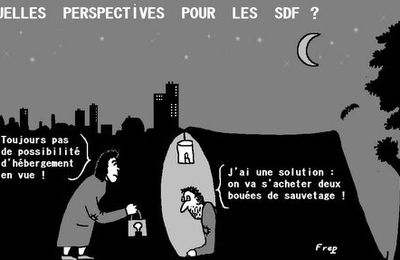 Quelles  perspectives  pour  les  SDF  ?