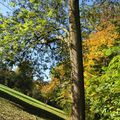 Soleil d'automne , le jour se lève , photos fin novembre