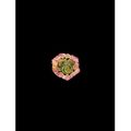 A Dichromic Tourmaline belt buckle. Qing Dynasty, Qianlong Period