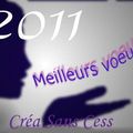 Bonne année 2011