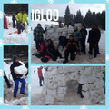 1er jour: groupe 1 et 2 : construction d'un igloo