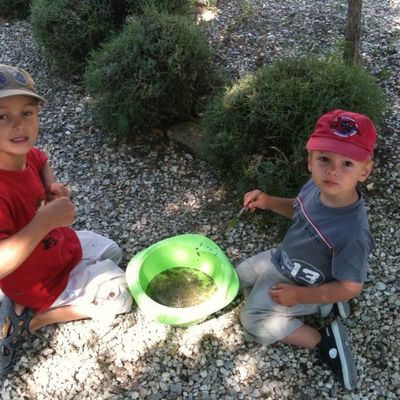 En attendant de déjeuner