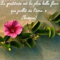 🌸🌸🌸 LA GRATITUDE 🌸🌸🌸 Est la plus belle fleur qui jaillit de l'âme 💟💟💟... 