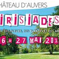 Dernières photos des Irisiades à Auvers sur Oise 