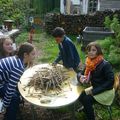 Retour sur les TAP de septembre à  décembre 2015 : Le jardin pédagogique avec Cedric Neau