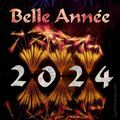Bonne année ...
