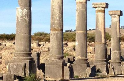 Cinq colonnes à la dune: "Décime-moi un mouton"