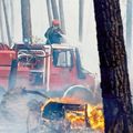 Landes : 80 hectares ravagés par les flammes à Luxey