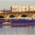 Une aile sous le pont