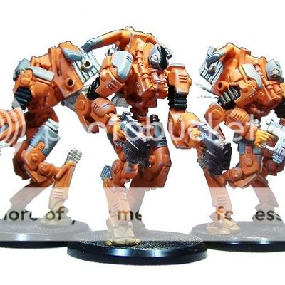 Greys - Les Unités de Fantassins Elites