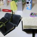 Le journal de Rose -  Le journal intime de Rose