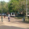 3 jours à Auroville, festival Lively Up Your Earth
