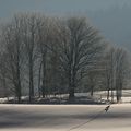 Le calme après la tempête