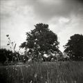 HOLGA gcfn + fp4+ Pour la petite histoire, le