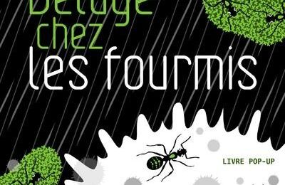 Pêle-Mêle : Déluge chez les fourmis - Une histoire d'amour - Le Totem - Pourquoi les lapins ne portent pas de culotte ?