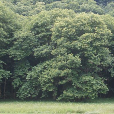 Le chaos de la Stura