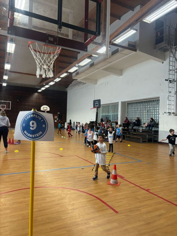 Les basketteurs font du ski