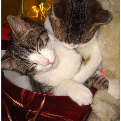 20 décembre 2010 : trois bonnes raisons de jouer