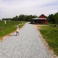 Strawberry picking édition 2014!