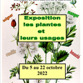 Exposition : les plantes et leurs usages