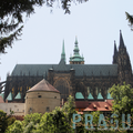 Cathédrale Saint Guy Prague