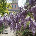 Jardin de Paradis