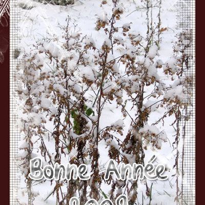 BONNE ANNEE