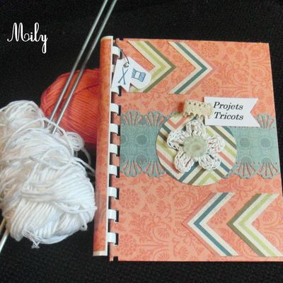 Projet tricots {scrap}