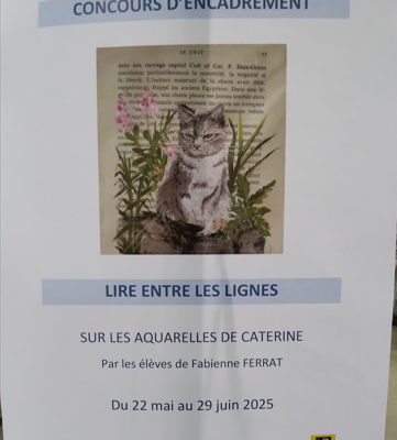 Lire entre les lignes